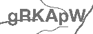 CAPTCHA Image
