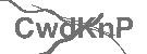 CAPTCHA Image