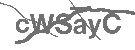 CAPTCHA Image