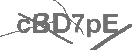 CAPTCHA Image