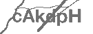 CAPTCHA Image
