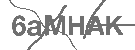 CAPTCHA Image