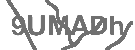 CAPTCHA Image