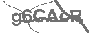 CAPTCHA Image