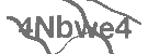 CAPTCHA Image