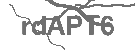CAPTCHA Image