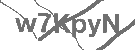 CAPTCHA Image