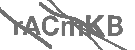 CAPTCHA Image