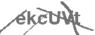 CAPTCHA Image