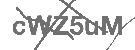 CAPTCHA Image