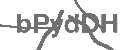 CAPTCHA Image