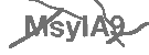 CAPTCHA Image