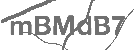 CAPTCHA Image