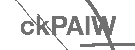 CAPTCHA Image