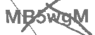 CAPTCHA Image