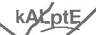 CAPTCHA Image