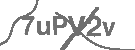 CAPTCHA Image