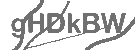 CAPTCHA Image