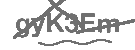 CAPTCHA Image