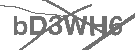 CAPTCHA Image