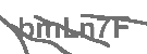CAPTCHA Image