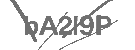CAPTCHA Image