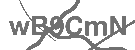 CAPTCHA Image