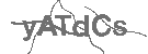 CAPTCHA Image