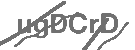 CAPTCHA Image