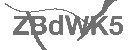 CAPTCHA Image