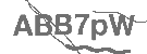 CAPTCHA Image
